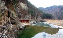 울진 銀魚의 길 명징한 겨울을 만나다