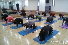 고령군, 대가야문화누리 국민체육센터 요가반 운영