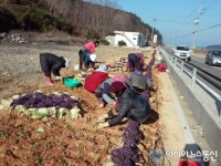 남해군 고현면 천동마을, 제2새마을운동 열기 ‘후끈’