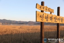 서천군, 신성리 갈대밭 새단장