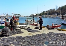 문어통발 조업 서두르는 영덕 대진항