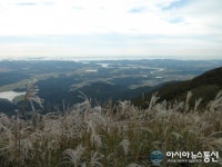 산림청,국립 오서산 자연휴양림 3월 추천 자연휴양림 선정
