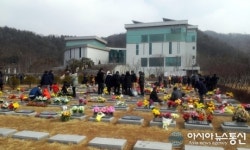 용인 평온의 숲 설문조사 만족