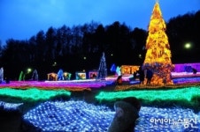 포천 허브아일랜드 야간 불빛축제