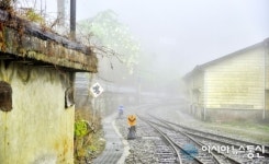 100년전 모습 간직한 타이완 삼림철도 펀치후역