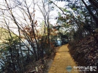 마산합포구, 상춘객 맞이 저도 비치로드 정비