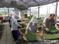 창녕군, 노인사회활동지원사업 시행