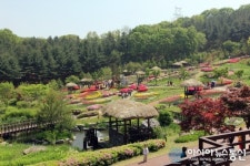 용인농촌테마파크, 봄 시즌맞이 리모델링