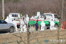 밀양시 구제역 음성 판정, 방역 비상체제 가동