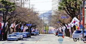 창원시 진해구, 벚꽃사이로 휘날리는 태극기