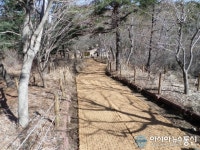 의창구, 천주산 등산로, 푹신하고 쾌적하게 정비