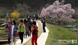 충남태안 천리포수목원 상춘객 맞이 총력전