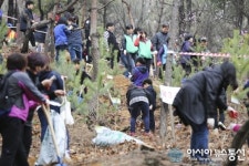 인천 계양구, 계양정명 800을 심다.