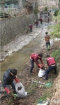 도봉구 방학천 살리기 프로젝트 실시 해