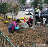 수원 권선구 권선2동, 공원 둘레길 등 팬지 식재