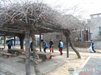 아산시 온양3동, 바르게살기위원회 환경정화 실시