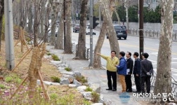 중랑천 장안벚꽃로 순찰하는 유덕열 동대문구청장