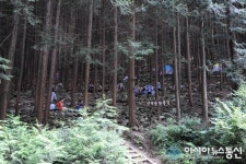 완주군 상관면 편백숲, 편의시설 확충된다