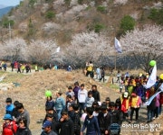 금산군, 비단고을 산꽃축제 개최