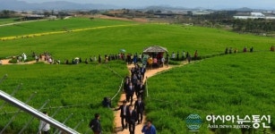 고창 청보리밭 축제 행렬