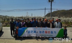 농협대전공판장·중도매인, 농촌 일손돕기 나서