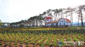 화순군, 스포츠메카 자리잡고 전국규모대회 이어져