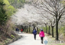 충남서산 삼길포 아라메길 걷기축제 25일 열려