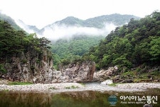 울진 왕피천 굴구지마을이 들려주는 봄나물 이야기
