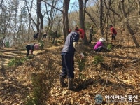 마산합포구, 피톤치드∙녹차 향기 가득한 무학산 둘레길 조성