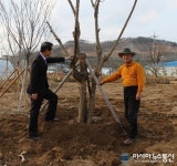 귀농인 김병환씨, 괴산 유기농엑스포에 구찌뽕나무 기증