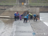 진주 남강 수위조절 위해 수중보 청소작업 나서