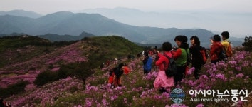 합천군, 봄 관광주간 다양한 할인혜택 풍성