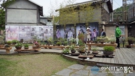 합천영상테마파크 '들꽃 야생화' 전시