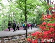 중랑구,‘2015 망우산사랑 한마음 걷기대회’ 개최