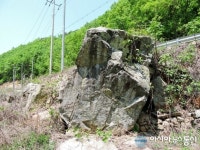 안동시 녹전면 매정리에서 마애불 모습 드러내