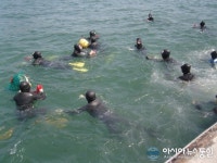 충남도 수산연구소, 해삼·대하 방류 ‘풍요로운 바다’ 만든다