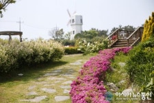 충남태안 팜카밀레, 허브향 가득한 힐링 여행 떠나요