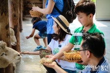 한화리조트 휘닉스파크, 하늘허브 패키지 출시