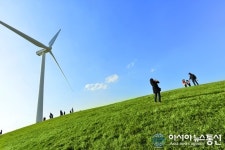 한화리조트 휘닉스파크 대관련하늘목장 구경 오세요!