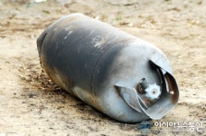 LH공사 성남여수지구, 불에 탄 LPG 개스통
