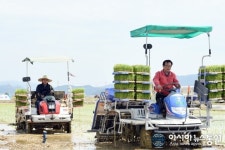 이동필 농식품부 장관, 경주 안강 모내기 영농지원