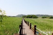 화성 비봉습지공원 6월 3일 개장