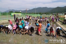 농촌진흥청 상주출장소, 초등학교생 모내기 체험 행사