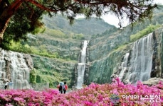 중랑구! 꽃 특화구 조성…관광 명소화