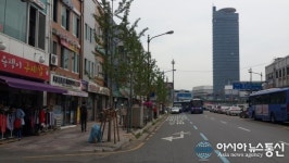 동구, 중앙로 은행나무 가로수 교체사업 완료