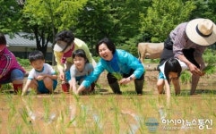 아이들과 모 심으며 즐거워하는 김수영 양천구청장