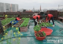 수원 권선구 세류1동 매주 금요일은 쌈밥 데이