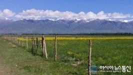 영천시, 감초 해외 농장개척 성공기반 마련