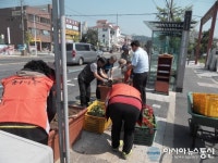 회덕동주민센터, 동주민센터 근방에 여름꽃 식재