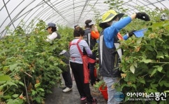 전북자원봉사센터, 메르스 예방 지원활동